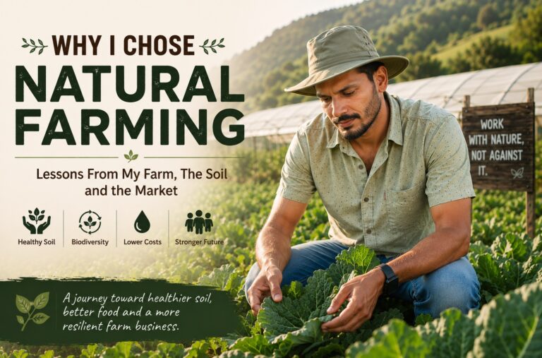 Why I Chose Natural Farming: What the Soil, the Farm and the Market Taught Me